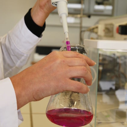 DSC02767 cropped 698x698