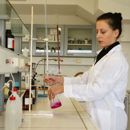 DSC02734 cropped 1067x1067